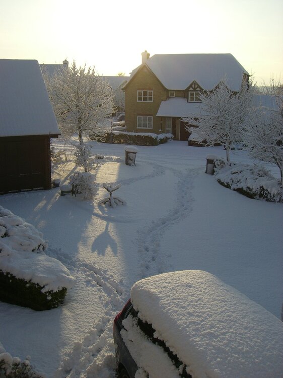 snow 007.jpg