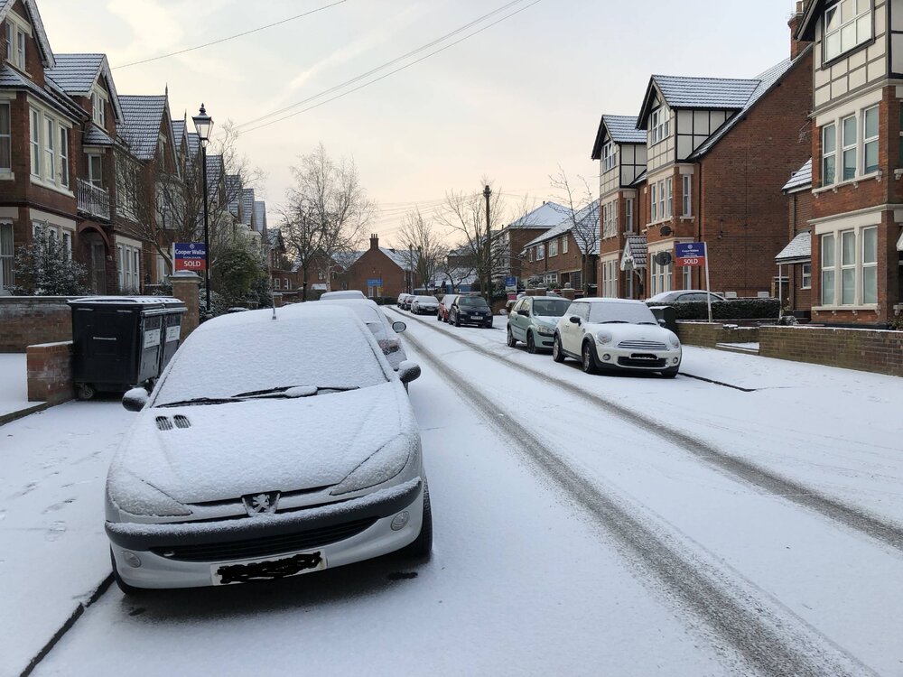 snowy.jpg