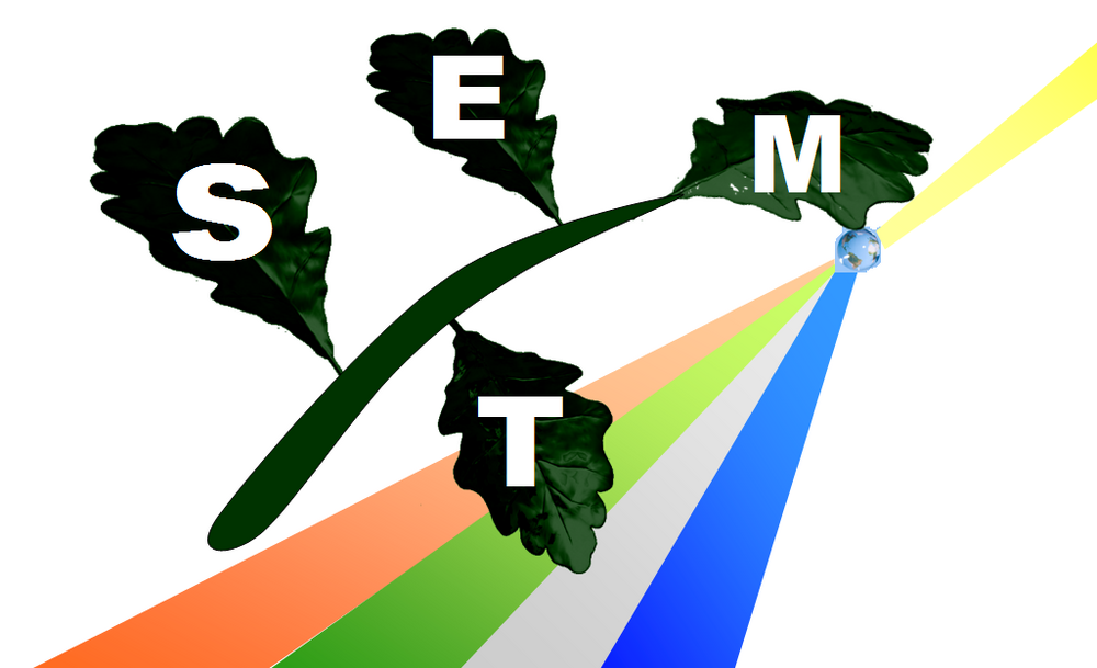 stem2..png