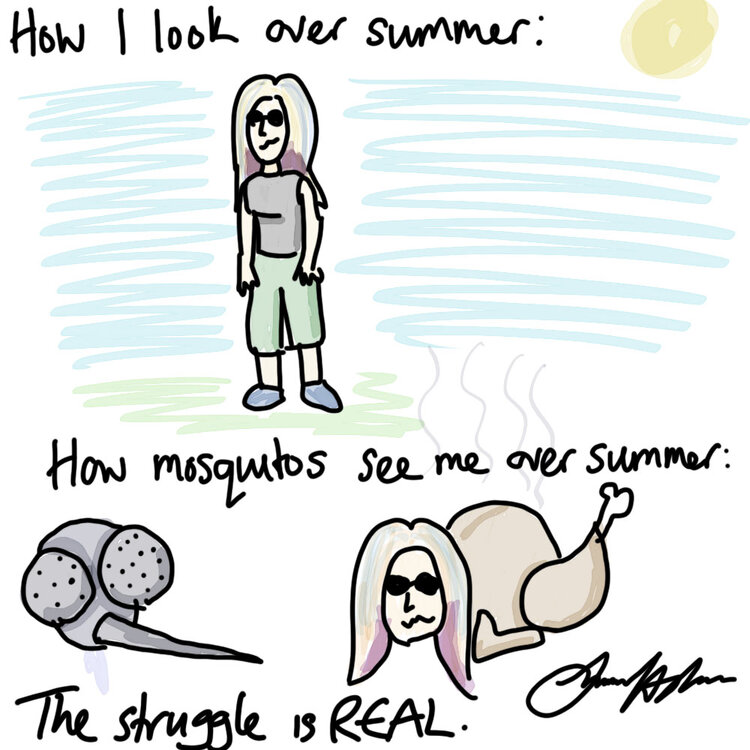 summer struggle.jpg