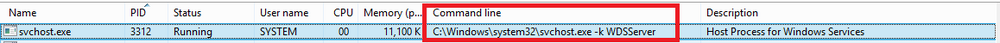 svchostwds.png