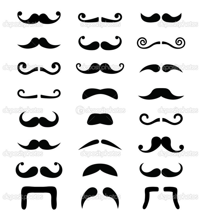 tash.jpg