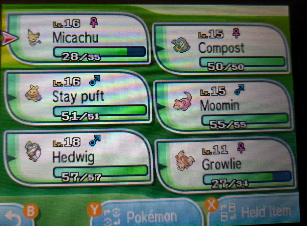team1.png