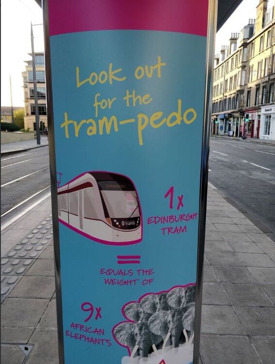 tram.JPG