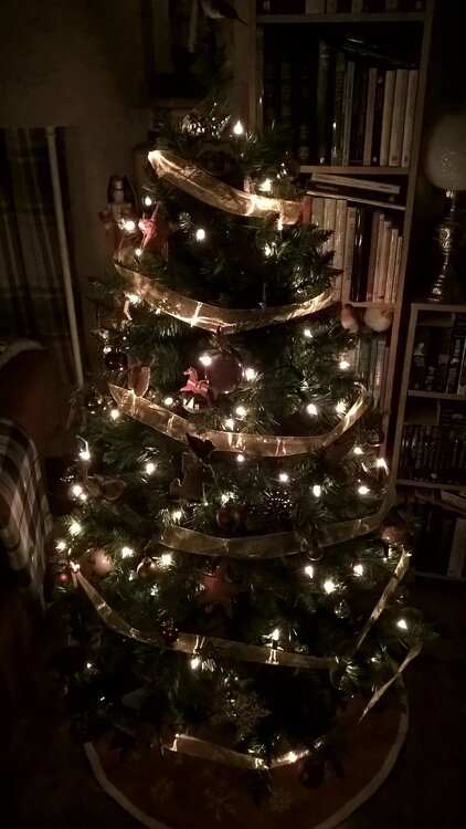 tree.jpg