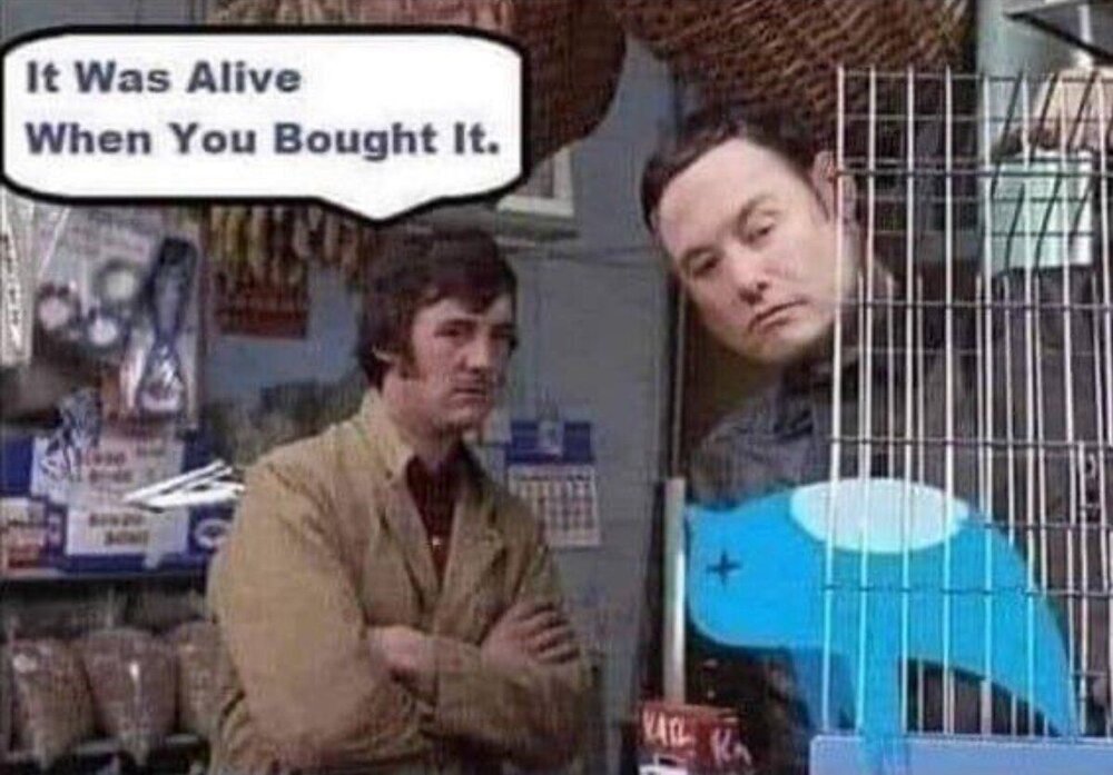 twitter.jpeg