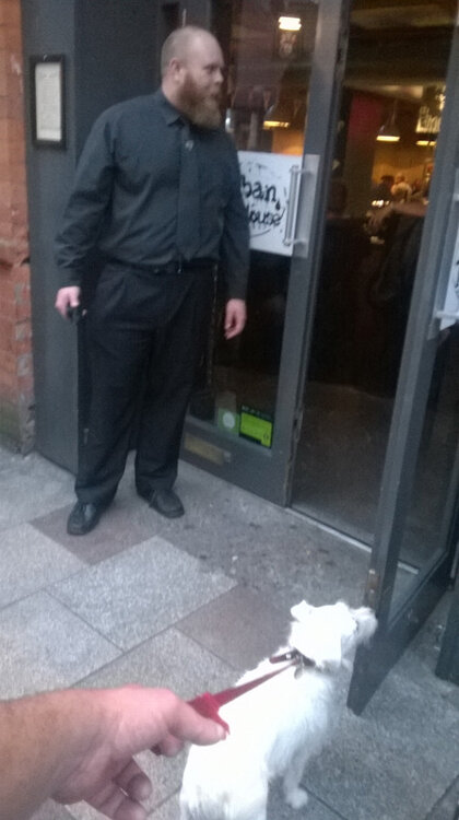 urbantaphouse.jpg