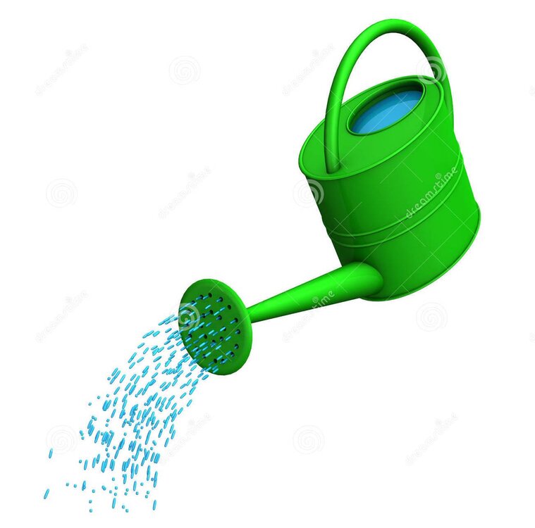 watering-can-28971642.jpg