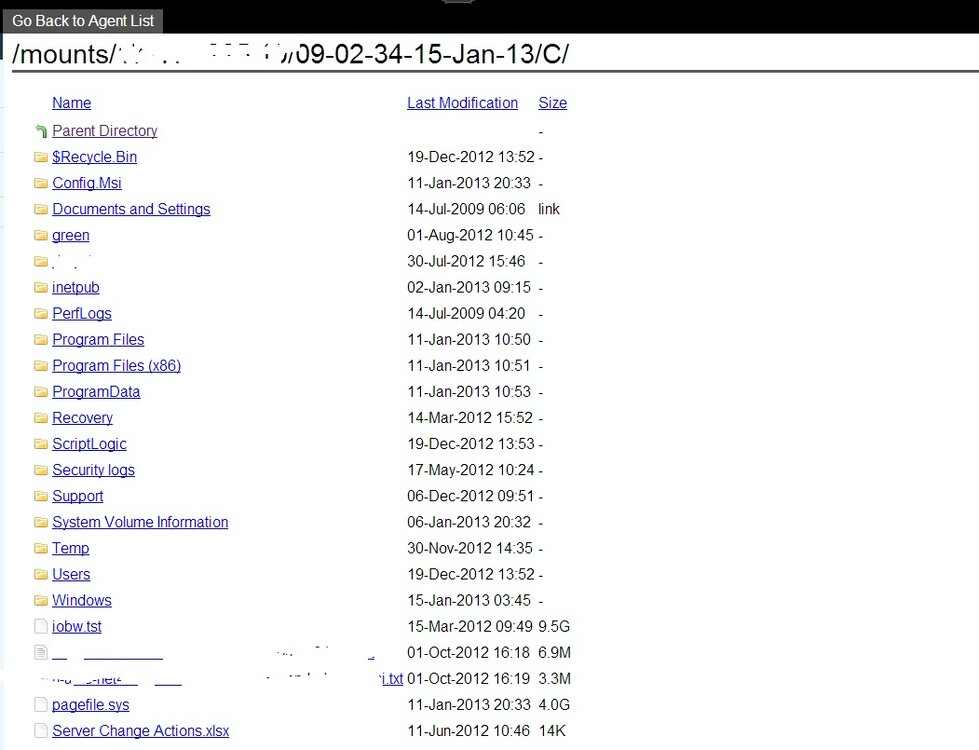 web access for file restore.jpg