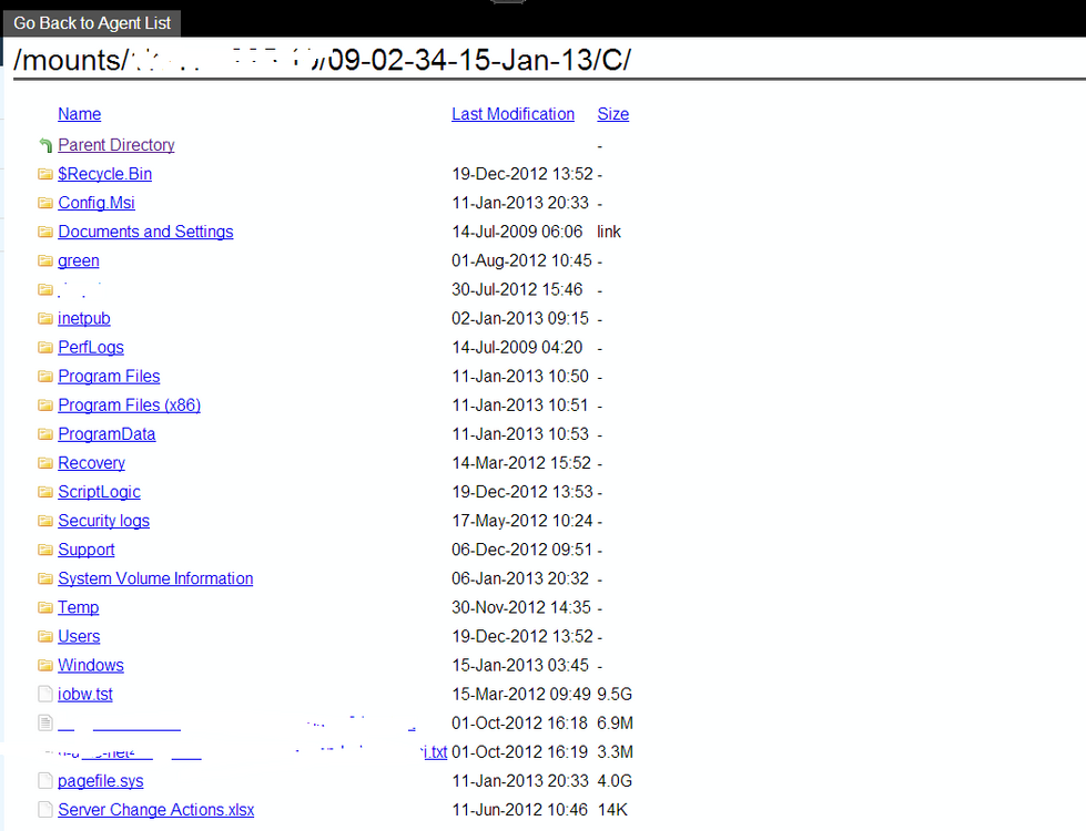 web access for file restore.png