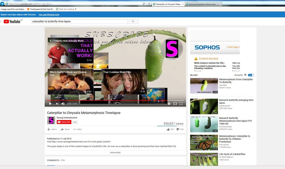 youtube.JPG