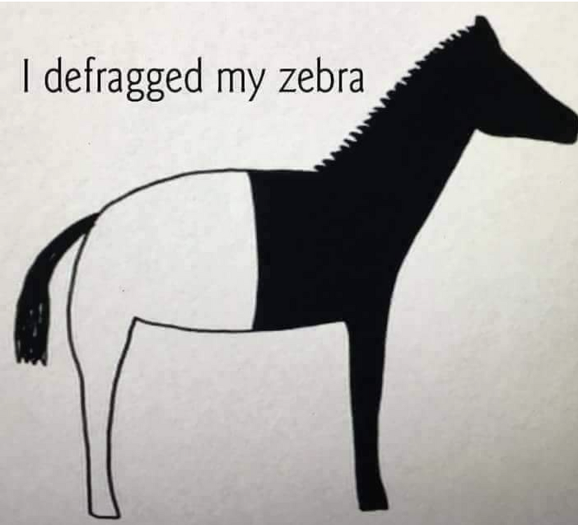zebra.png