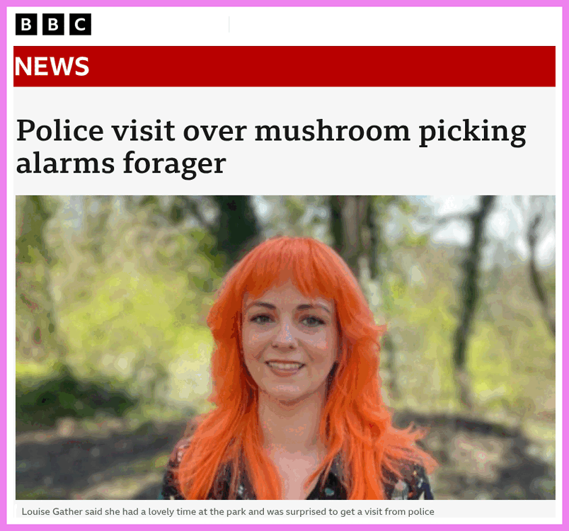 MushroomPicker.thumb.gif.fbf1546d85f13821cc8f8374f7887149.gif