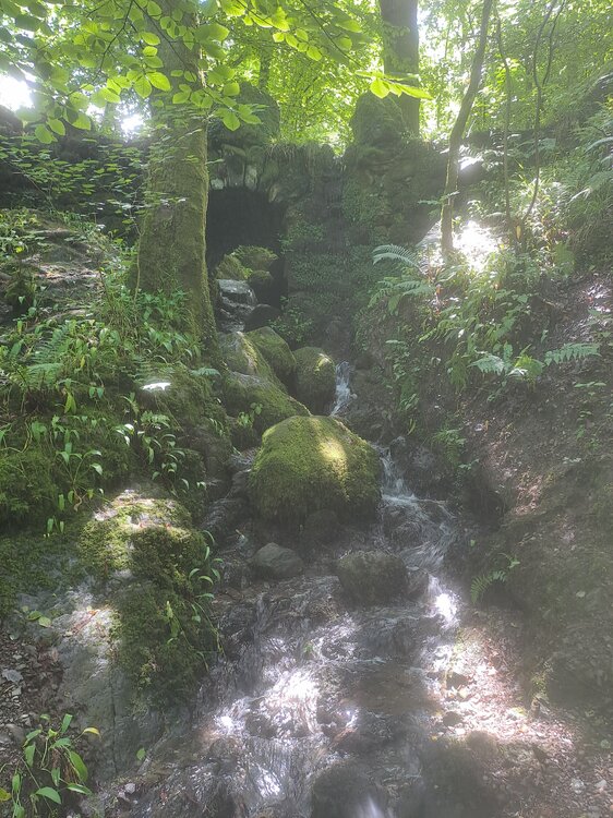 20250626_133716.jpg