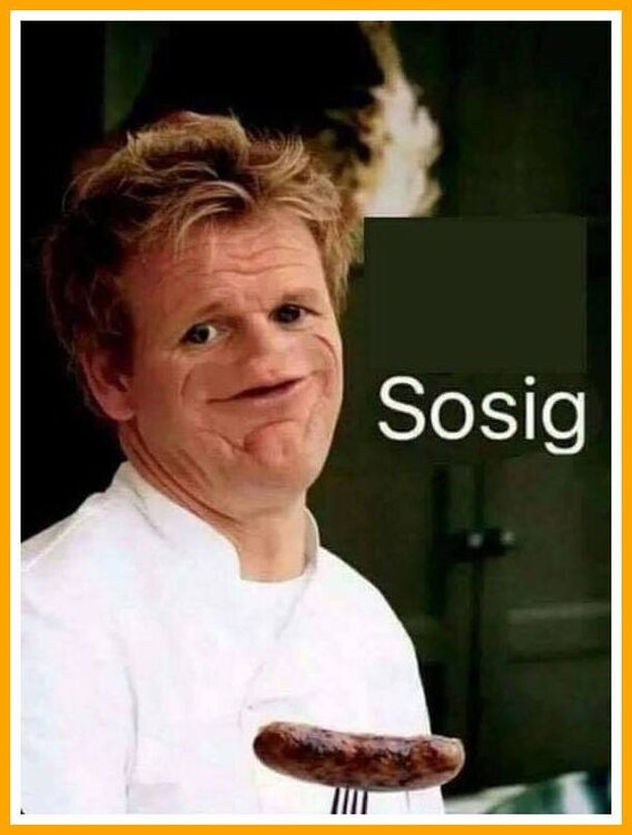 Sosig.thumb.jpeg.d7f20def507338190a5d8e9d9fb58bbc.jpeg
