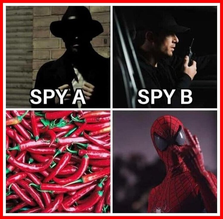 Spy(s).thumb.jpeg.42cfbc2d1c6e986a597c5b6b7338ffad.jpeg