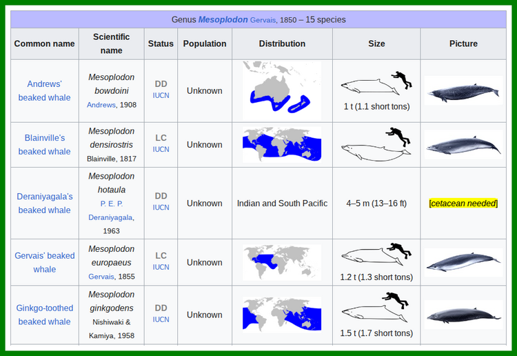 CetaceanNeeded.thumb.png.51c89a39ddd1f8e99361f5855229cbd4.png